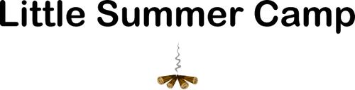 Little Summer Camp