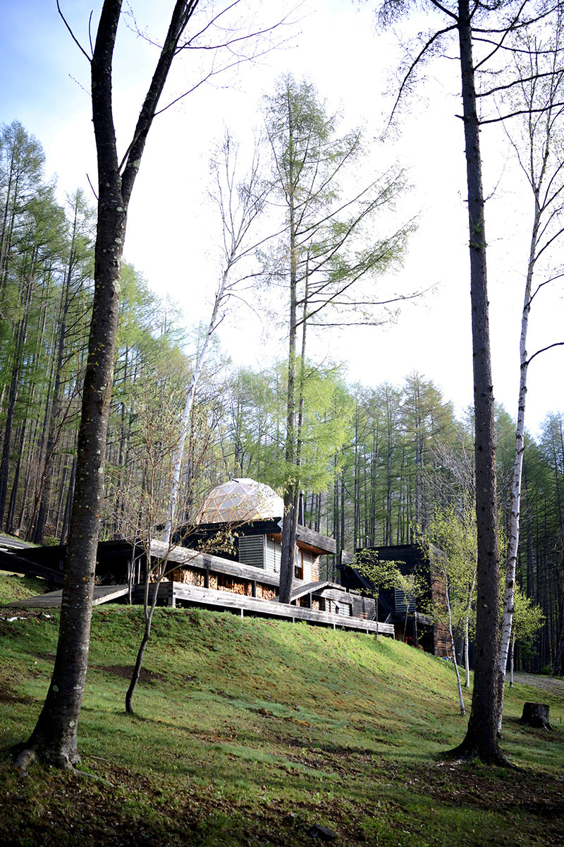 littlesummer Littele Summer Camp(リトル・サマーキャンプ) – Little Summer Camp